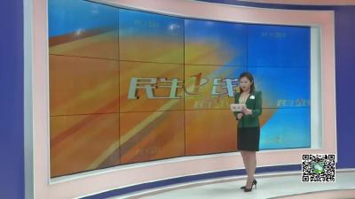 新奇！村民返乡养殖七彩山鸡创业成人生赢家