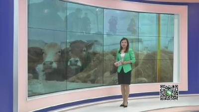 －－【新春走基层】县水产局：渔业春投春放生产忙