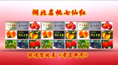 2019年2月14日《孝昌新闻》