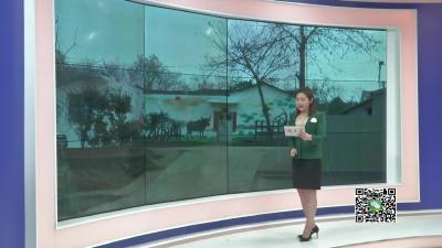 －－【新春走基层】赞！美丽乡村建设让王店镇盛畈村大变样