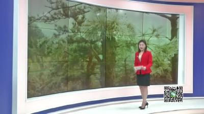 －－小悟乡笔架村山道结冰  部门联手撒盐除冰保畅通