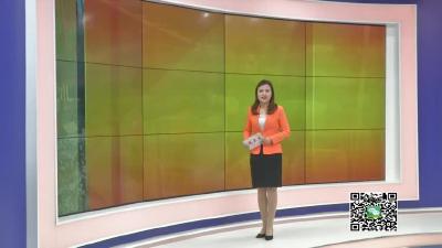 －－李亚明：回乡创业传承老手艺