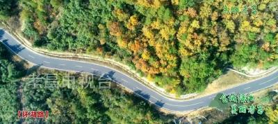 绿化造林再添1.5万亩！2019孝昌将颜值爆表！