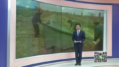 －－【春天的足迹•记者走基层】白沙镇：合作社成帮扶平台 提供“一条龙服务”
