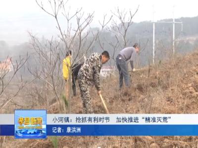 抢抓有利时节 小河镇加快推进“精准灭荒”，为荒山添新绿！