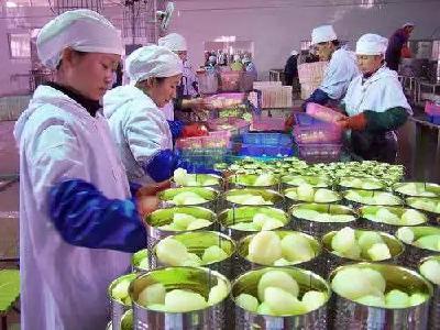 小小马蹄竟让孝昌这个地方200余户贫困户脱贫增收~