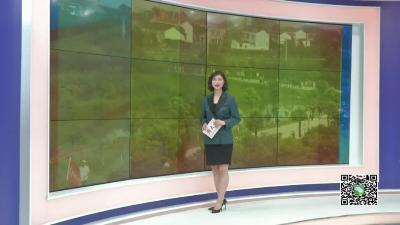 －－【春天的足迹·记者走基层】沈腾：回归田园梦　愿做新农人