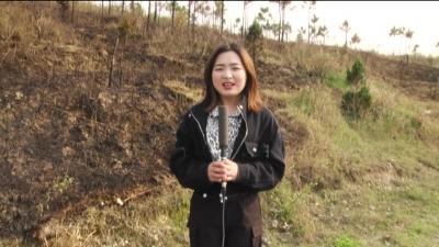 －－文明祭祀　守护生命财产安全