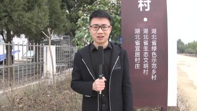 －－【春天的足迹•记者走基层】卫店镇：美丽三湾是我家　农村不比城里差