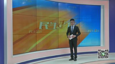 －－美翻春天！小悟乡牡丹花海盛放正当时