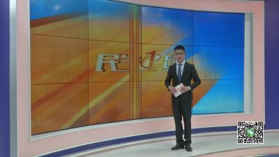 －－白沙镇赵山茶厂：茶叶采摘助力精准扶贫