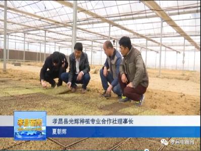 邹岗镇：育秧全程机械化，智慧农业忙春耕！