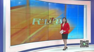 －－邹岗镇：身姿挺拔颜值高 红橡树中藏商机