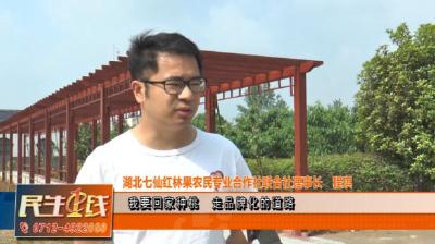 程琪：用创业致青春！树立桃品牌，追寻“现代农业梦”！