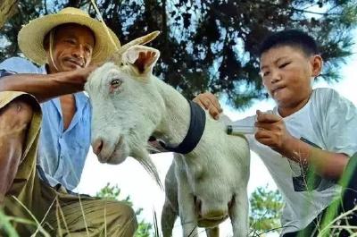 公示中！这项国家级荣誉，湖北拟推荐他们！孝昌1人上榜！
