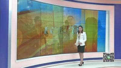 －－县书画家协会：请师传授干货秘籍 现场点评冲击国展