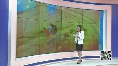 －－丰山镇丰胜村：种植西瓜为产业扶贫添新路