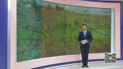 －－一枝独放不是春　农旅融合产业兴.