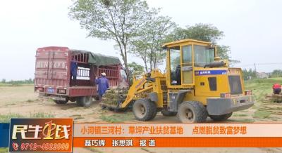 小河镇三河村：草坪产业扶贫基地，点燃脱贫致富梦想！