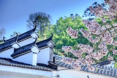 孝昌“黄金20条”，条条都是真金白银，这些地方率先获得奖励！