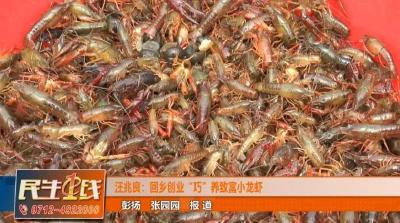汪兆良：回乡创业“巧”养致富小龙虾！