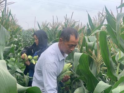 “家庭农场”特色种植开辟脱贫新路径！