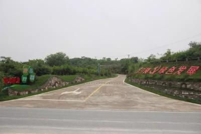 周巷镇“四好农村路”破解苗木产业提档升级制约瓶颈