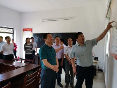 市人大常委会到我县开展“聚力脱贫攻坚、人大代表在行动”专项督导
