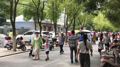 6月10日起，城区实验小学周边实行交通限行！