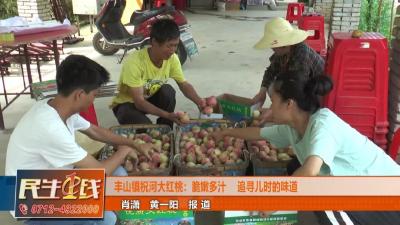 祝河大红桃：脆嫩多汁 追寻儿时的味道