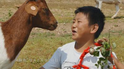 第36届“湖北新闻奖”揭晓，孝昌6件作品获奖！