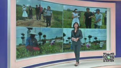 －－“走孝昌 看变化 聚焦脱贫攻坚”集中采访活动走进卫店镇