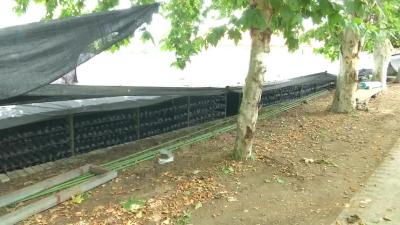 --县供水公司：战高温保供水 应对夏季用水高峰