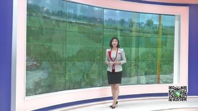 －－孝昌严厉打击拒不支付劳动报酬犯罪　追回欠薪117万