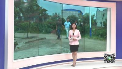 －－花西乡：打造黄蜀葵产业 让“金花”变“真金”