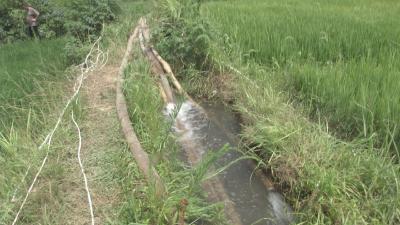 王店镇：多措并举 保居民生活用水