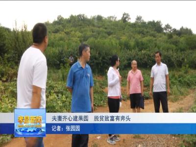 孝昌这对夫妻回乡齐心建果园，日子过得有奔头！