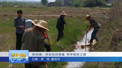 邹岗镇：因地制宜，脱贫致富“特”给力