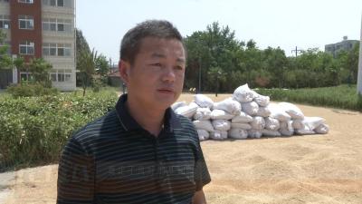 －－【壮丽70年·奋斗新时代】腾洋铜业：政策服务解近忧　科技创新制远胜