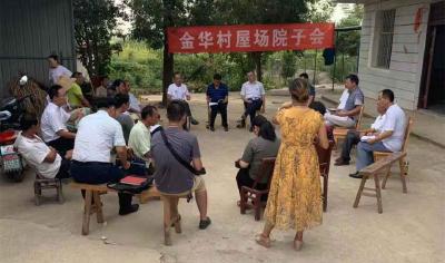 戴传亮到白沙镇金华村参加支部主题党日活动