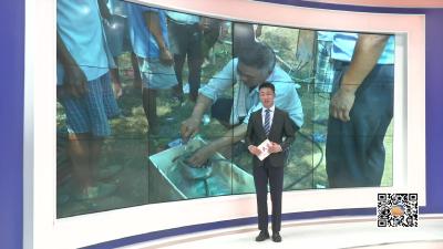－－观音湖区柳林村：大手牵小手　共建文明村
