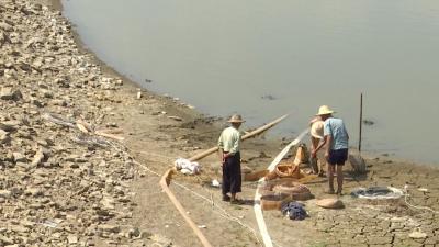 孝昌老农种稻40亩，活出农民最骄傲的样子！