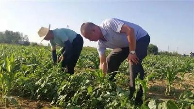 孝昌这个农民太牛了！开荒种地，带领村民脱贫奔小康！
