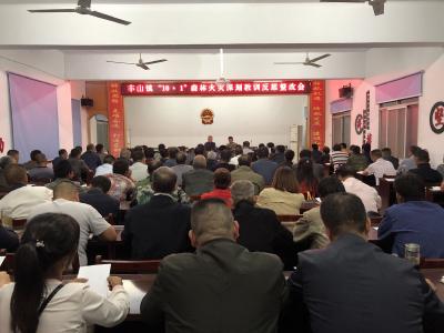 丰山镇“10·1”森林火灾深刻教训反思整改会召开