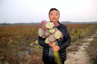 美丽太空莲，扮靓小康路！