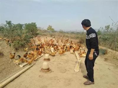 “只要肯干，日子一定会越来越好！”孝昌贫困户的幸福蜕变！