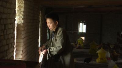 杨合玲：柔肩扛起养家担，自强不息奔富路！