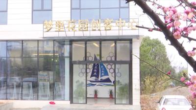 孝昌90后创业青年沈腾，追逐田园，带富一方！