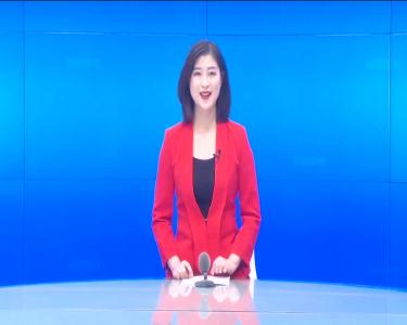 --政协委员分组讨论政府工作报告