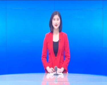 --王超群、张丽萍参加小悟代表团分组讨论